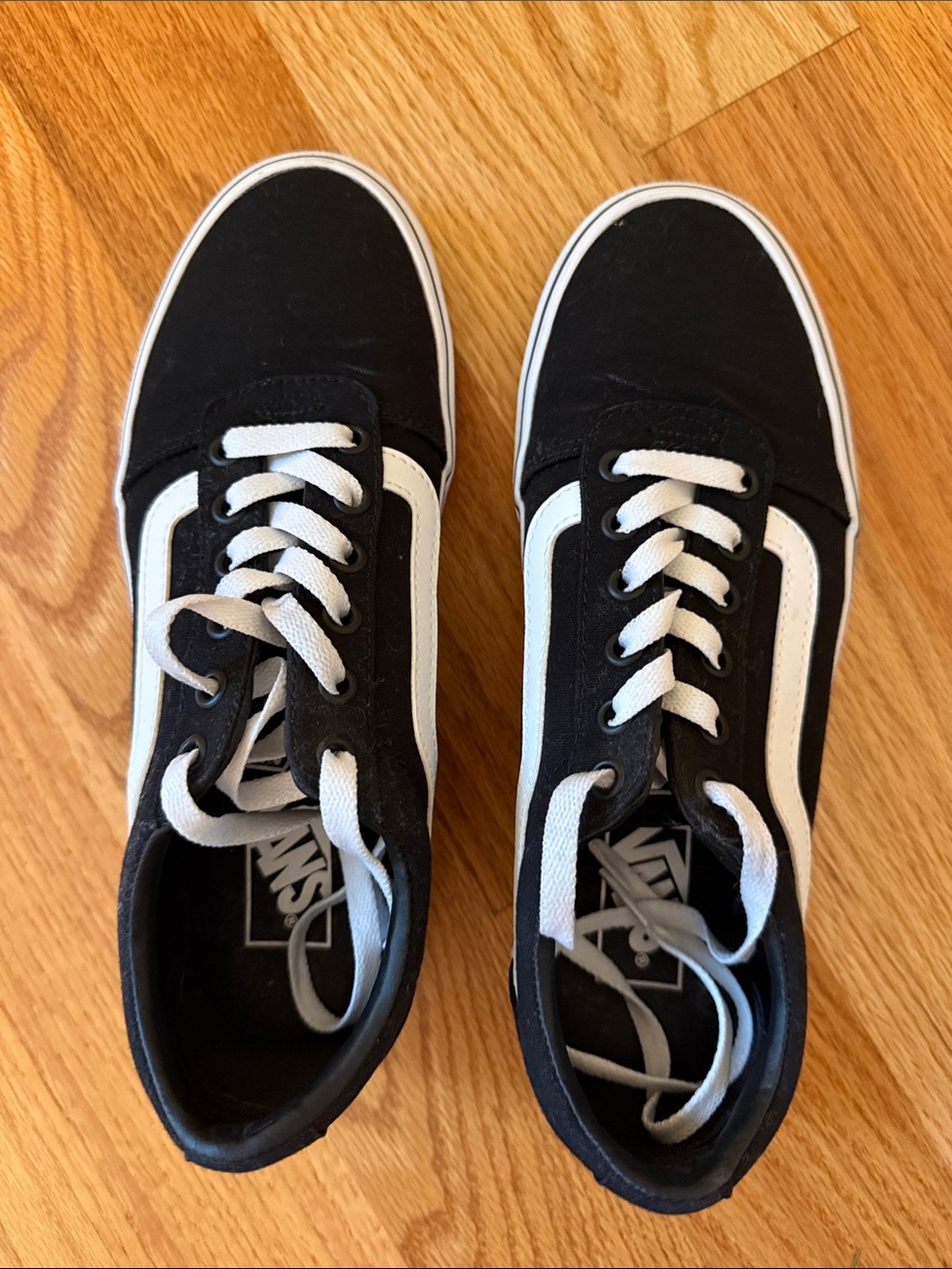 Vans Black and White Skate Sneakers - Low Top Canvas